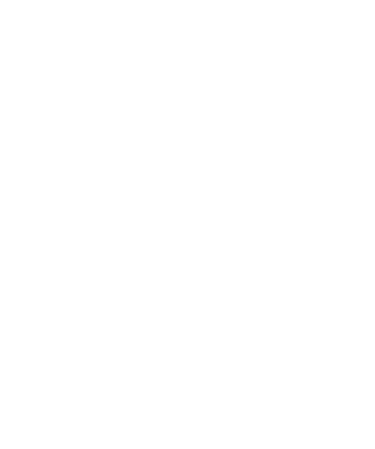 DutchPicks – Your Guitar Picks